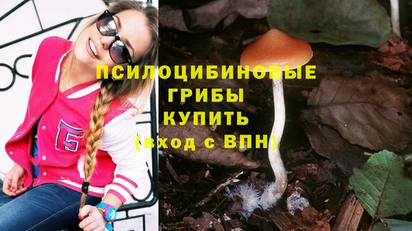 Альфа ПВП Беломорск