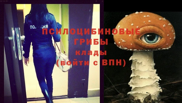 Альфа ПВП Беломорск