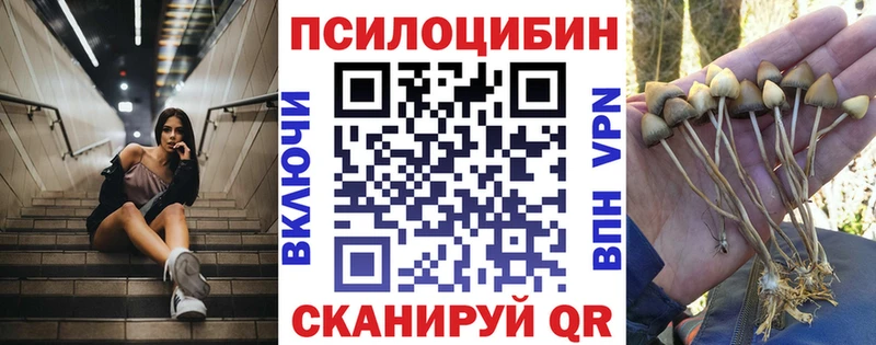 Псилоцибиновые грибы мухоморы  Санкт-Петербург 